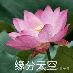 體育投注:誕生於一個“快樂的錯誤”:多鄰國靠 AI 兩年時間大漲 4 倍,現 DAU 3400 萬
