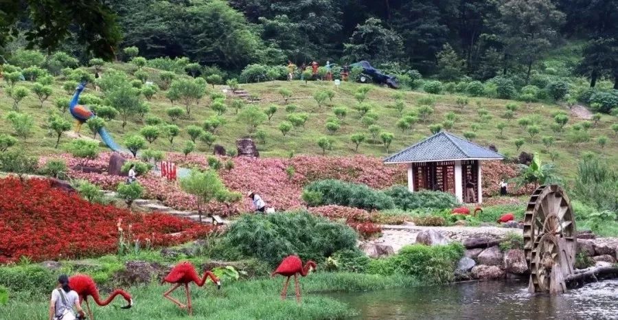 {線上賭場}(从化有什么旅游景点好玩的)